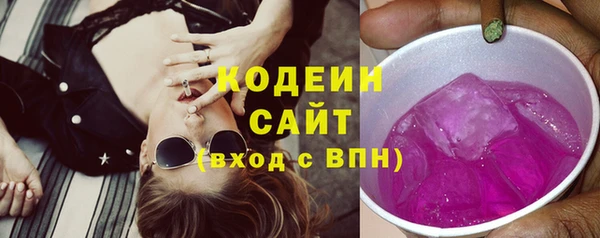 ECSTASY Алзамай